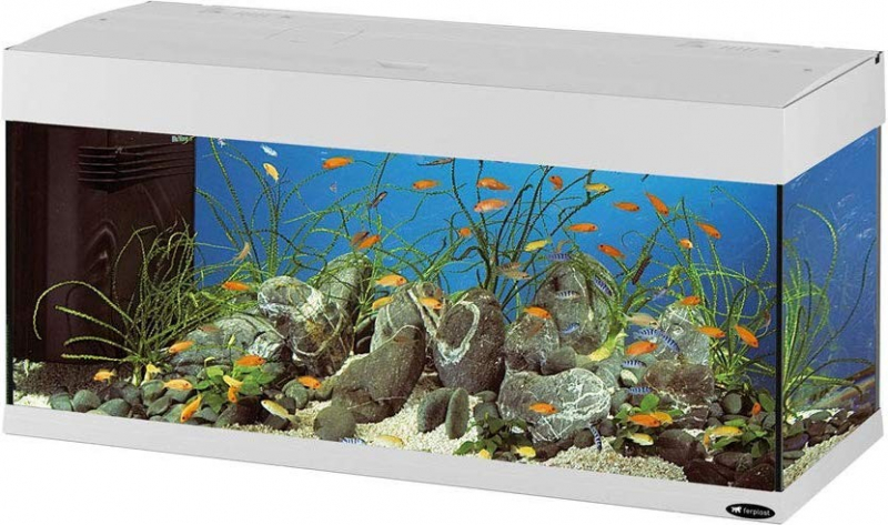 Aquarium DUBAI 100 190L