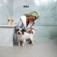 Shampoing chien peau sensible 300ml - Sensitive Soul - Pet Head