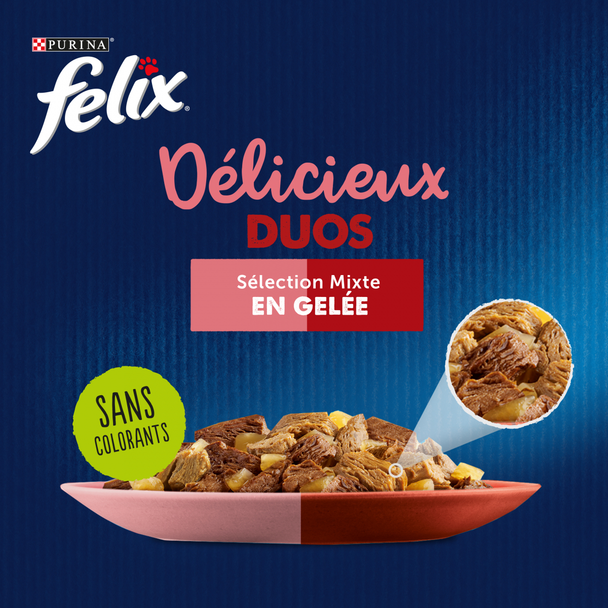 Felix Délicieux Duos en Gelée - Sélection Mixte - 24x85g 