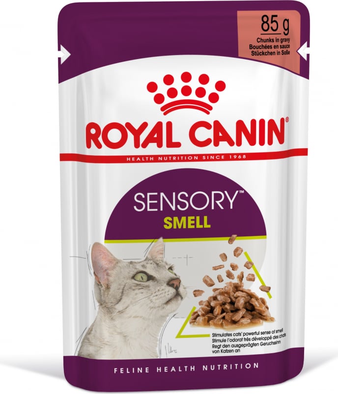 Royal Canin Sensory Smell patè in salsa per gatti