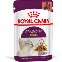 Royal Canin Sensory Smell pâtée en sauce pour chat