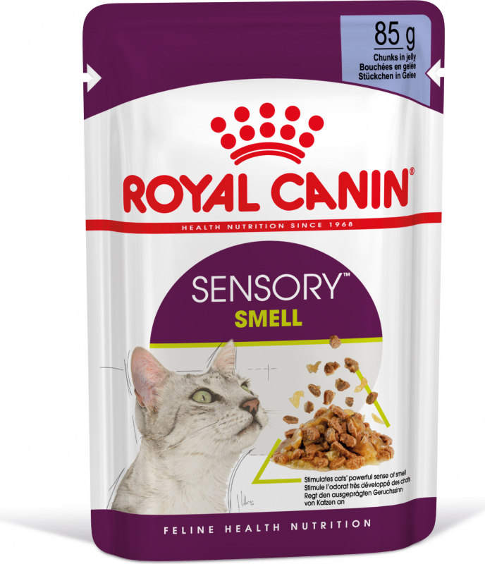 Royal Canin Sensory Smell pâtée en gelée pour chat