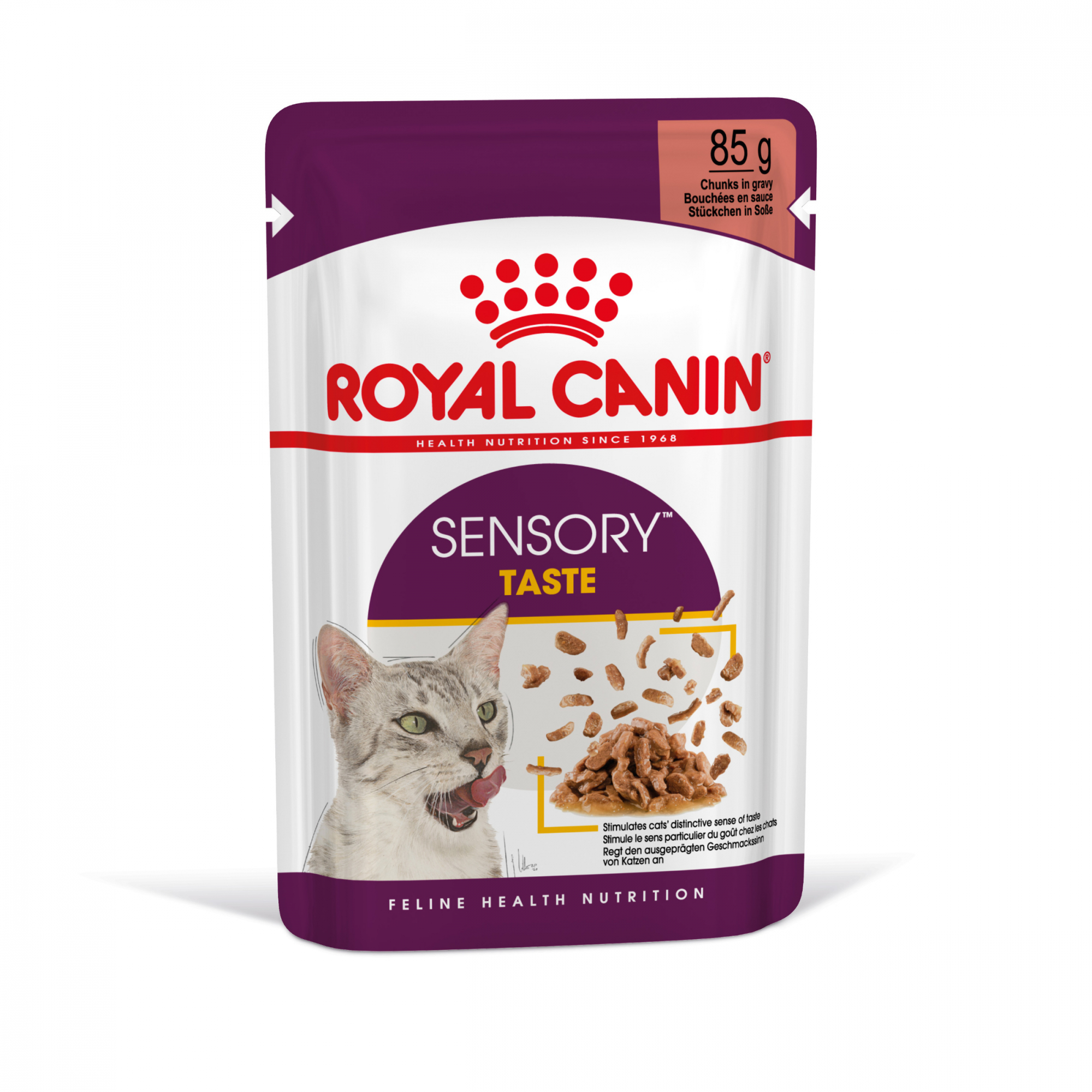 Royal Canin Sensory Taste patê em molho para gato