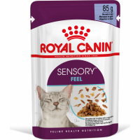 Royal Canin Sensory Feel pâtée gelée pour chat