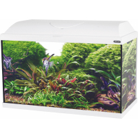Kit aquarium ISEO LED 60cm 57L - Blanc