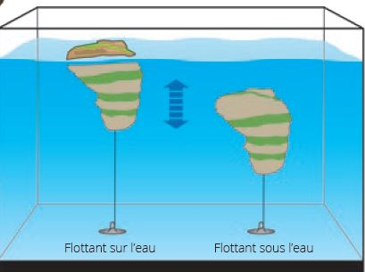 SuperFish Roches flottantes