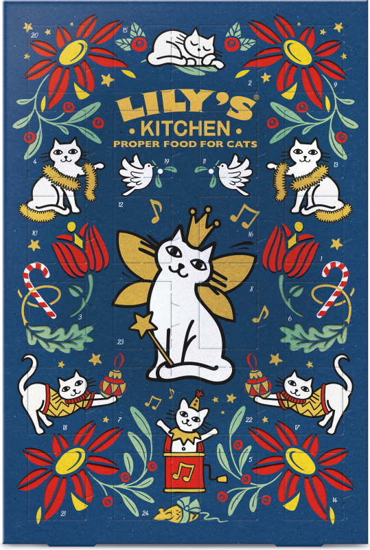 Lilys Kitchen Calendrier de lAvent Noël pour Chats 42g