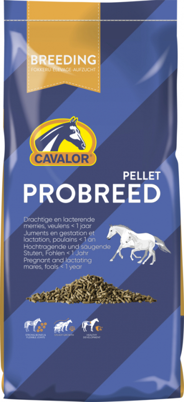 Cavalor Breeding Probreed Pellet per cavalle gravide e puledri