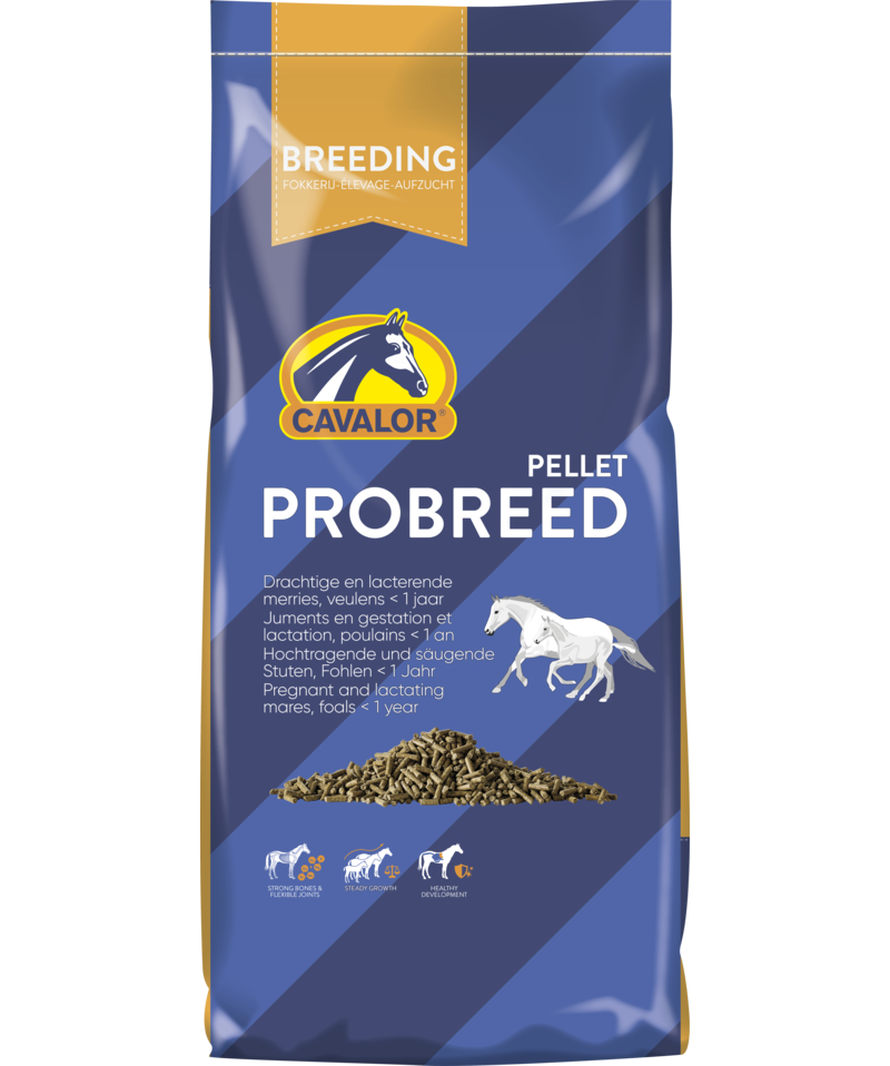 Cavalor Breeding Probreed Pellet für trächtige Stuten und Fohlen