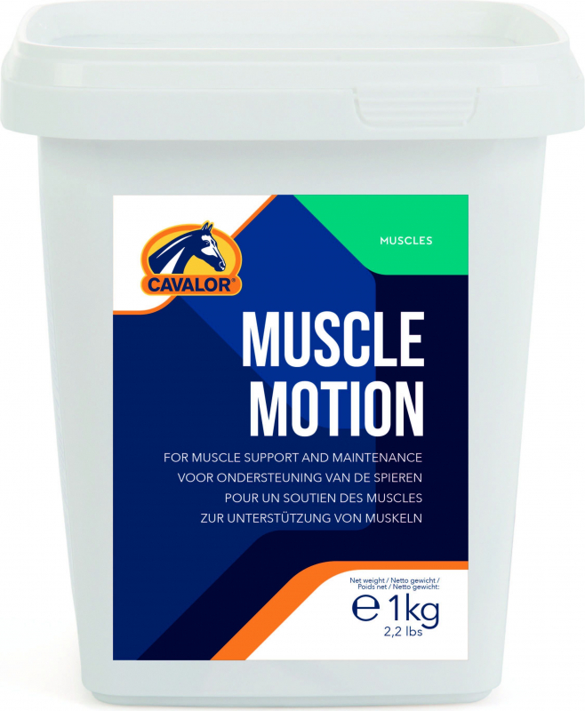 Cavalor Muscle Motion para cavalo- suporte dos músculos