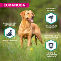 EUKANUBA Sans Céréales Riche en Poissons pour chien adulte de petites et moyennes races 