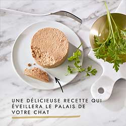 mousse gourmet purina pour chats