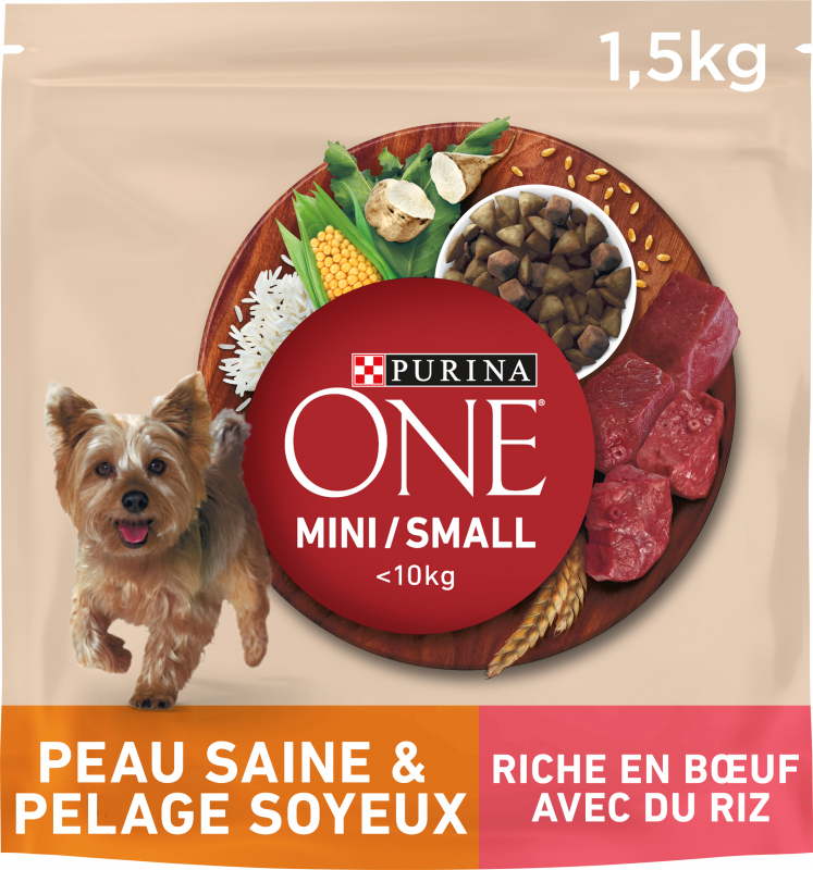 Purina One Peau Saine & Pelage Soyeux au bœuf pour petit chien
