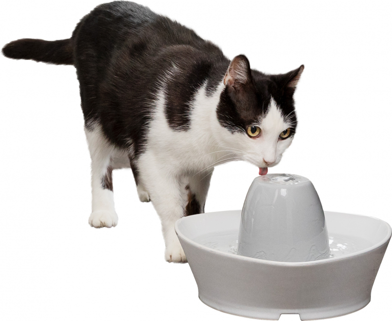 Fontaine Streamside 1.8L pour chats et petits chiens