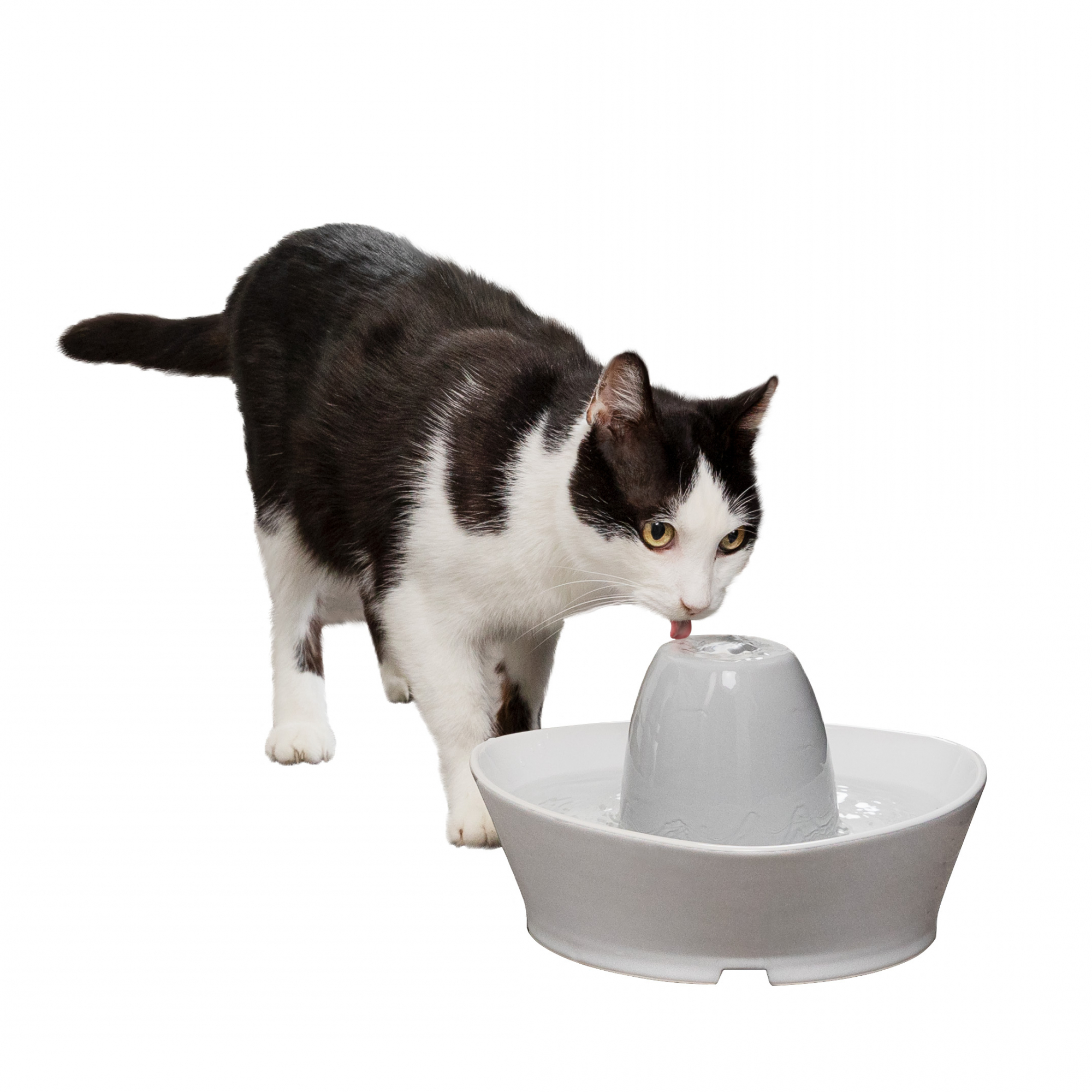 Fontaine Streamside 1.8L pour chats et petits chiens