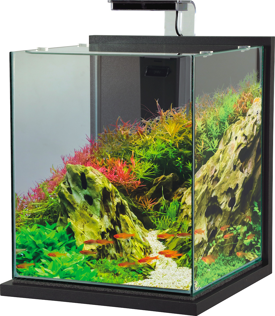 Aquatlantis Aquarium Complet Kubus 10 L LED, 1 kit - Boutique en ligne  Olibetta