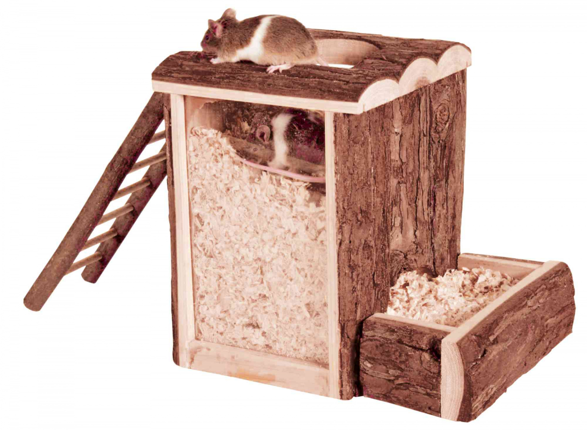 Echelle suspendue avec jeux pour hamster