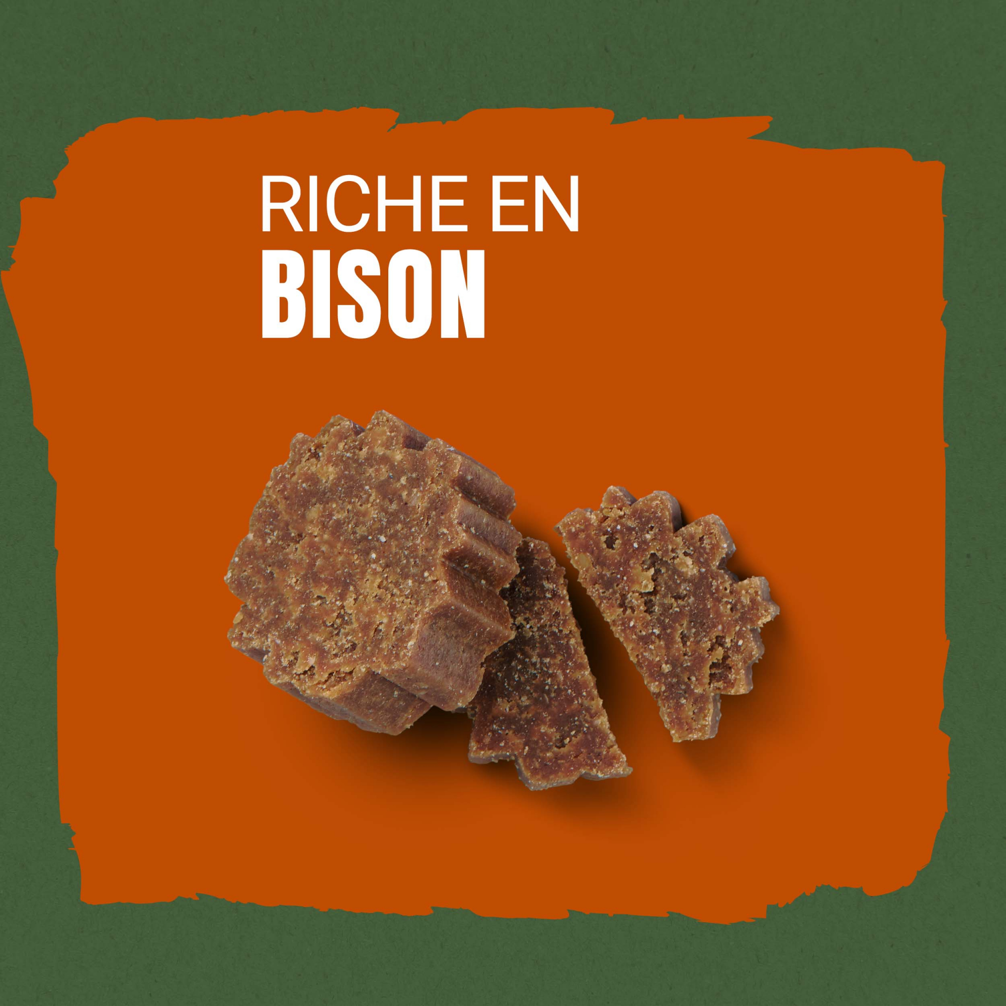 PURINA ADVENTUROS Snacks riche en Bison aux céréales anciennes pour chien