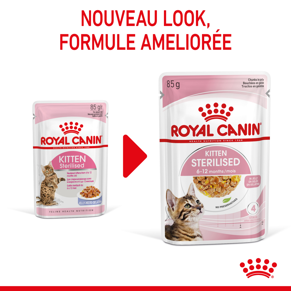 Croquettes chat Royal Canin Kitten Sterilised 
