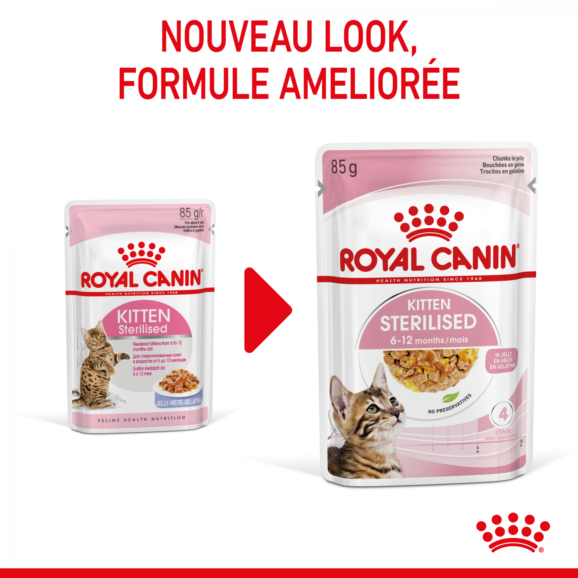 Royal Canin Kitten sterilised - alimento húmido em gelatina para gatinho