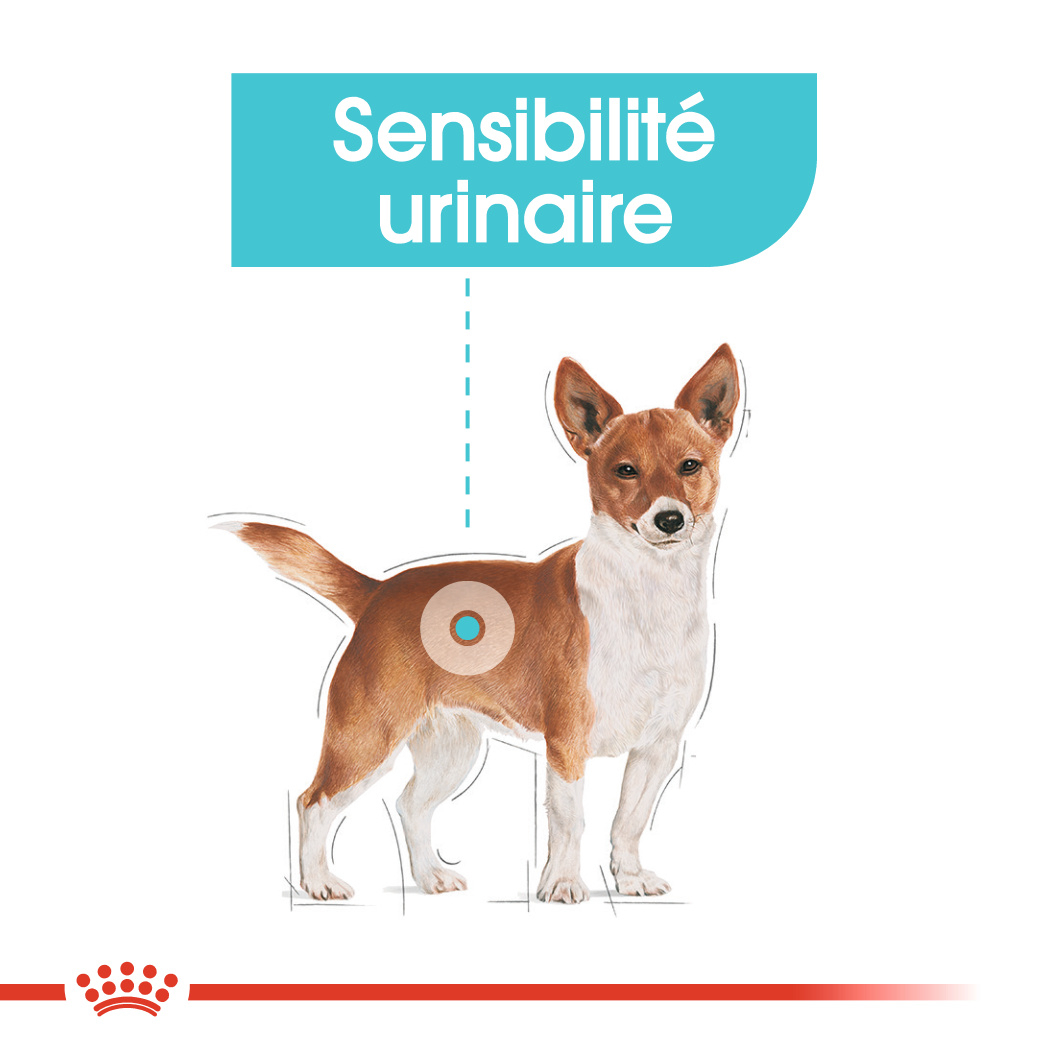 Royal Canin Urinary Care Mini para perros pequeños