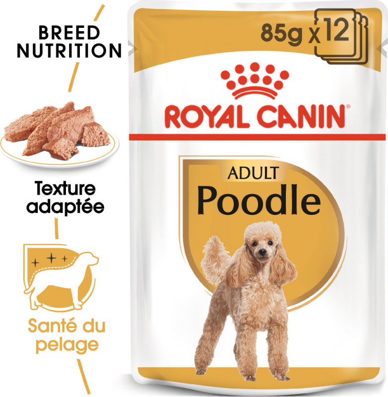 Royal Canin Adult Caniche comida húmeda en mousse
