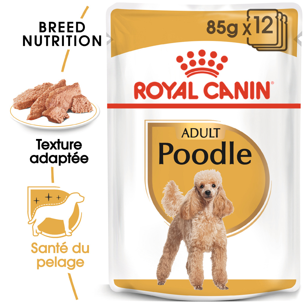 Royal Canin Alimento húmido para caniche (poodle) adulto