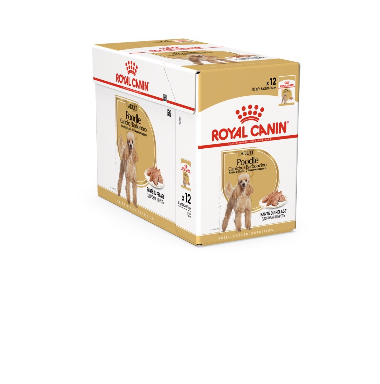 Royal Canin patè barboncino adulto