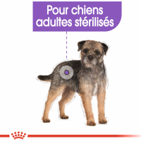 Royal Canin Sterilised Comida húmeda en mousse para perros
