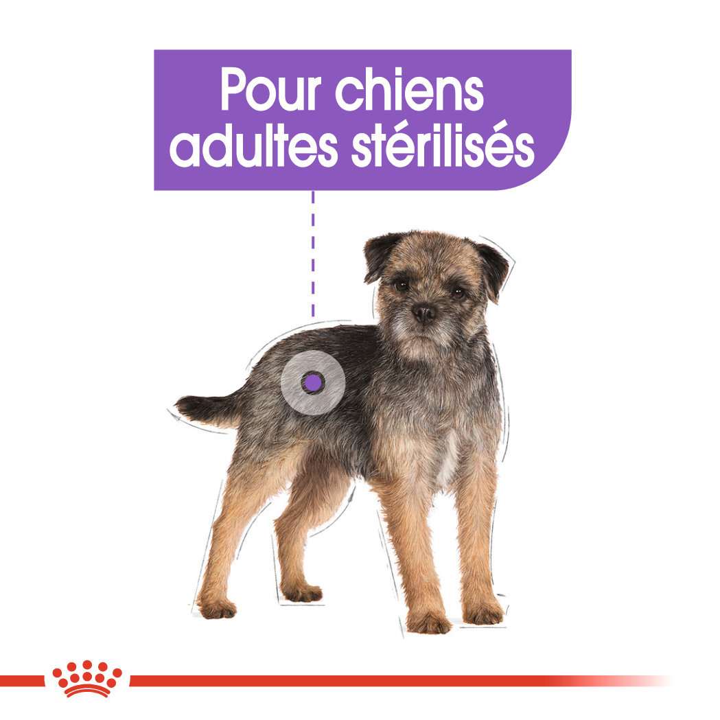 Royal Canin Canine Care Nutrition Sterilised pâtée en mousse pour chien