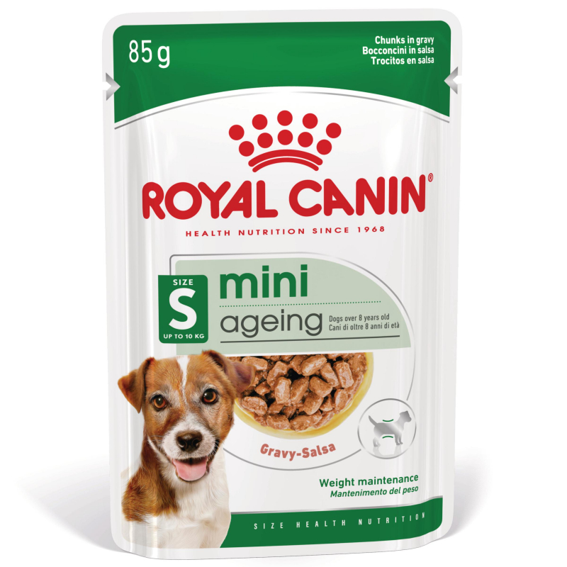 Royal Canin Mini Ageing 12+ paté para pequeno cão senior