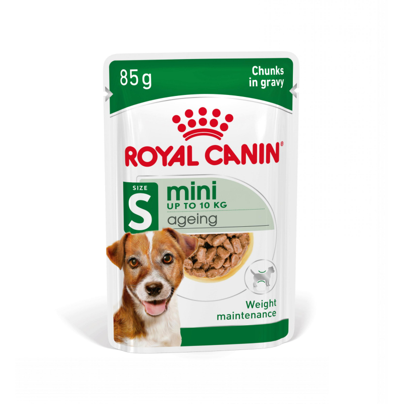 Royal Canin Mini Ageing 12+ paté para pequeno cão senior