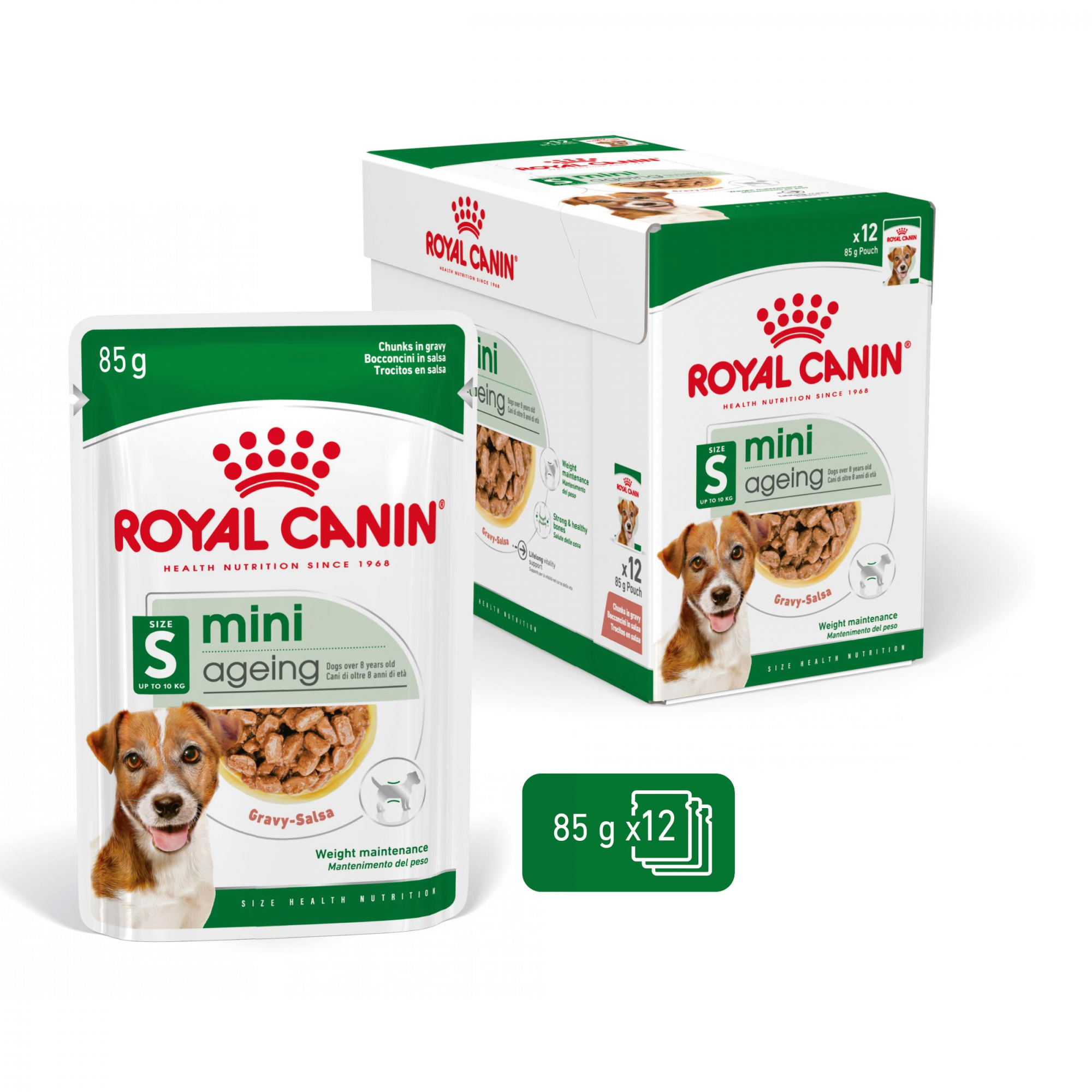 Royal Canin Mini Ageing 12+ patè per piccoli cani senior