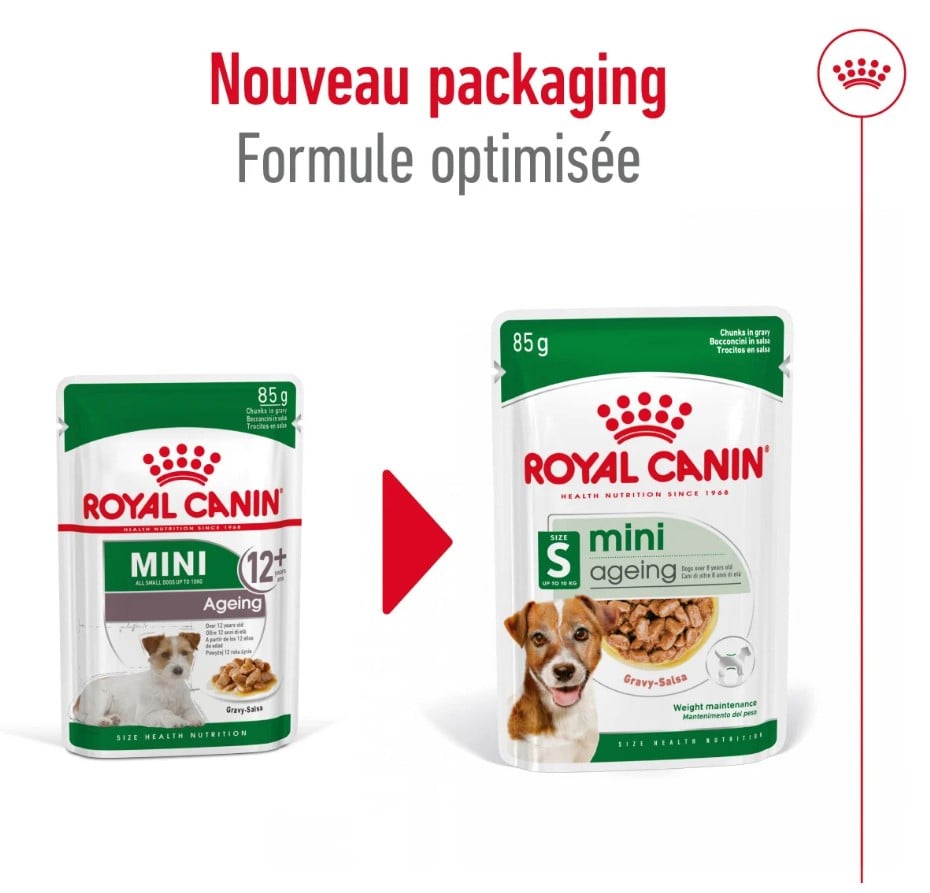 Royal Canin Mini Ageing Nassfutter für ältere kleine Hunde