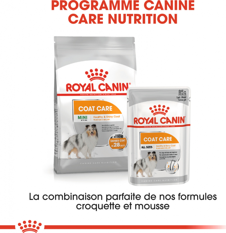 Encantador odio Tareas del hogar Royal Canin Coat Care comida húmeda en mousse para perros