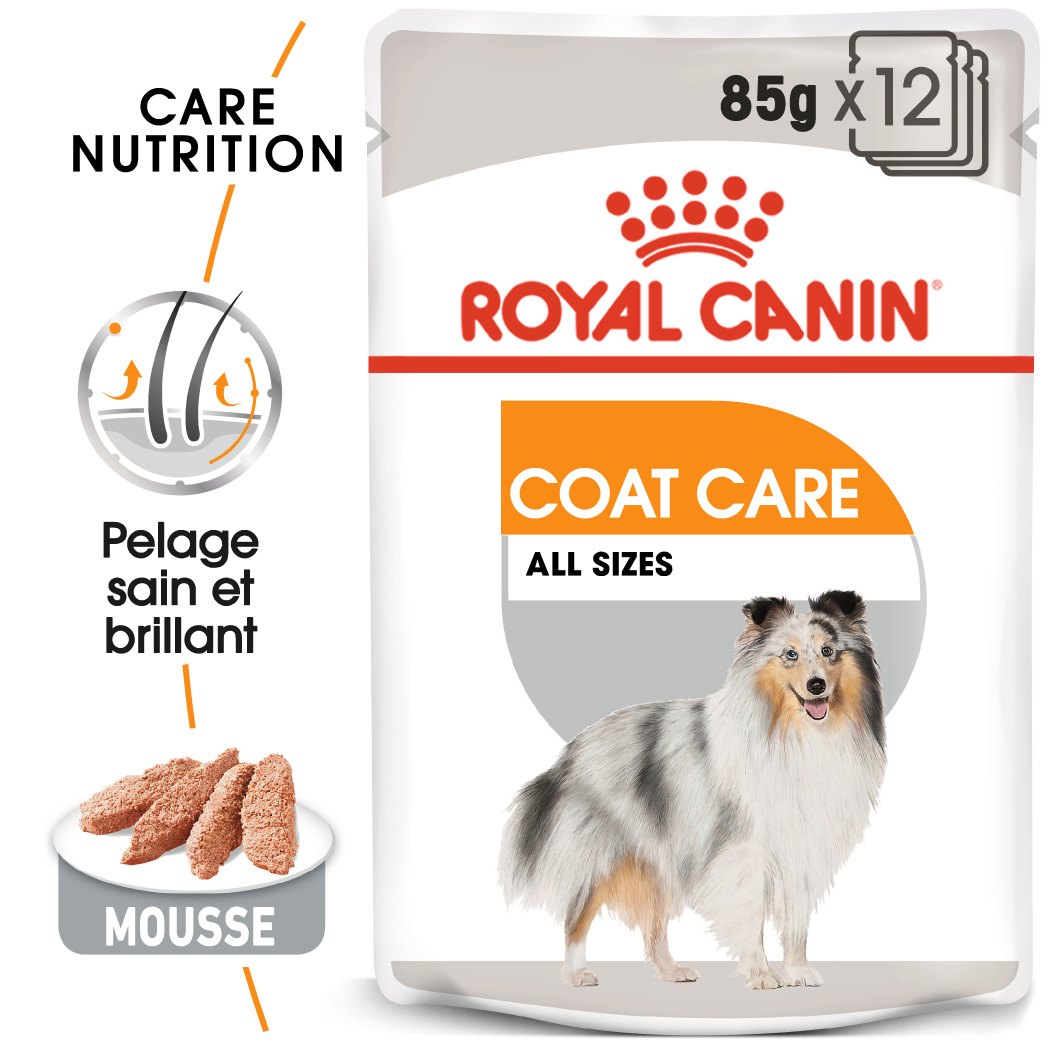 Royal Canin Coat Care paté in mousse per cane