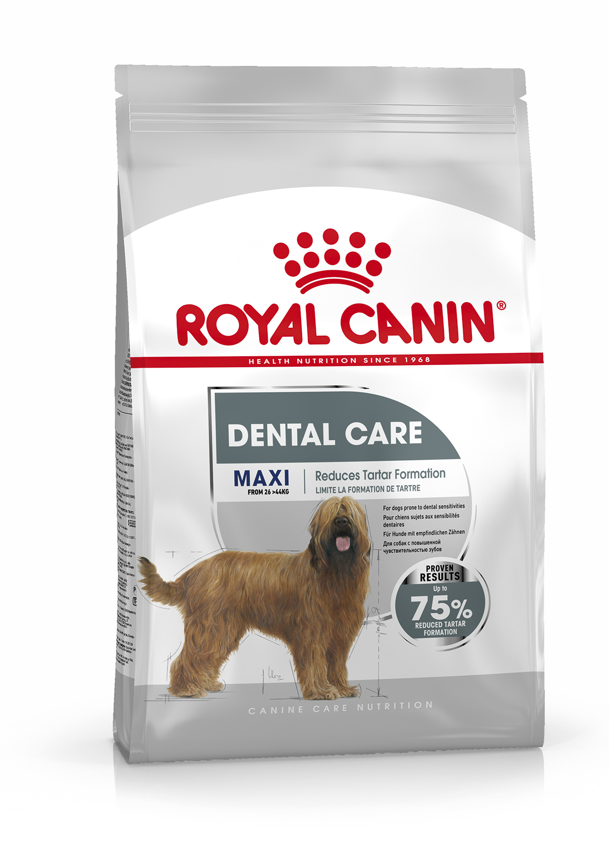 Pienso Royal Canin Dental Care Maxi para perros de razas grandes