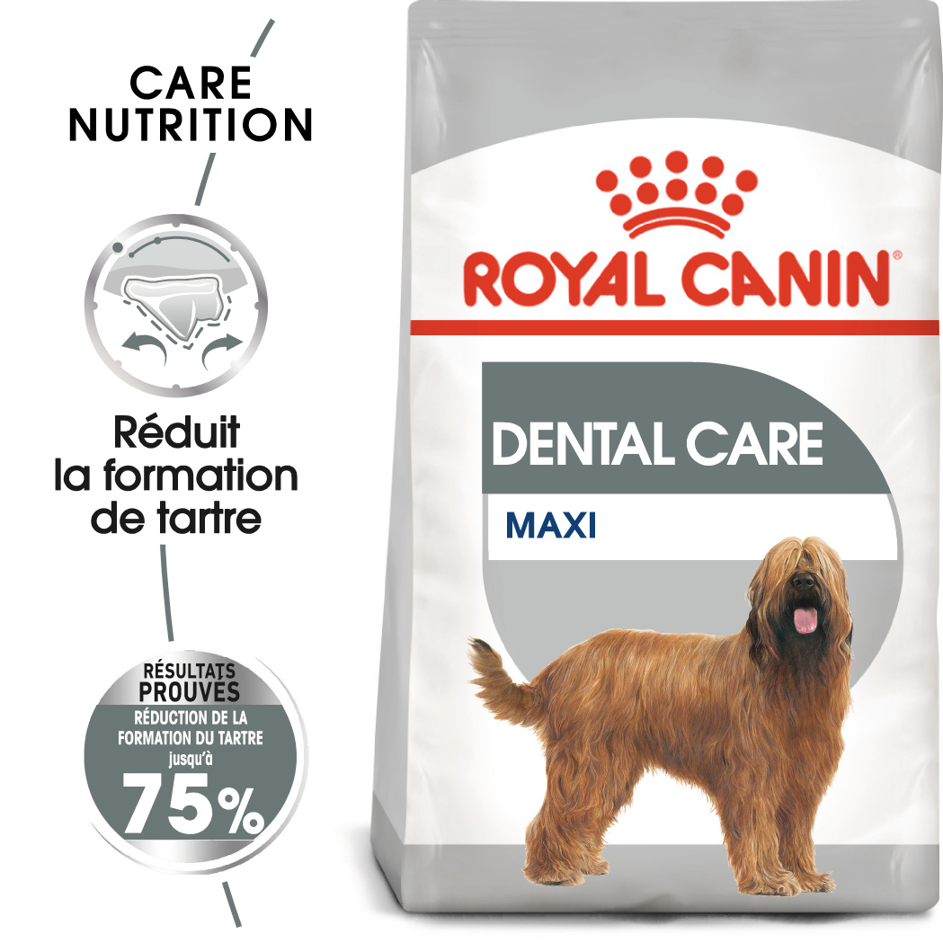 Pienso Royal Canin Dental Care Maxi para perros de razas grandes