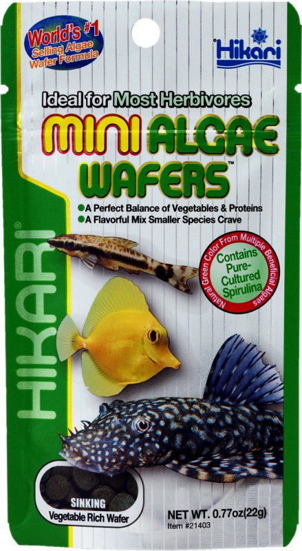 Hikari Mini Algae Wafers - Alimento para comederos de algas - 2 envases
