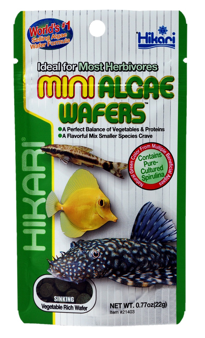 Hikari Mini Algae Wafers - Alimento para comederos de algas - 2 envases
