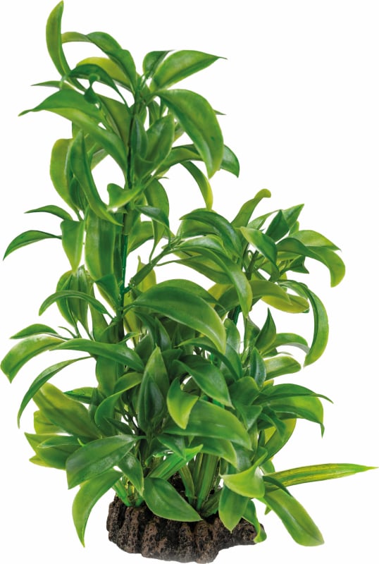Plante artificielle Dracaena - 25cm 