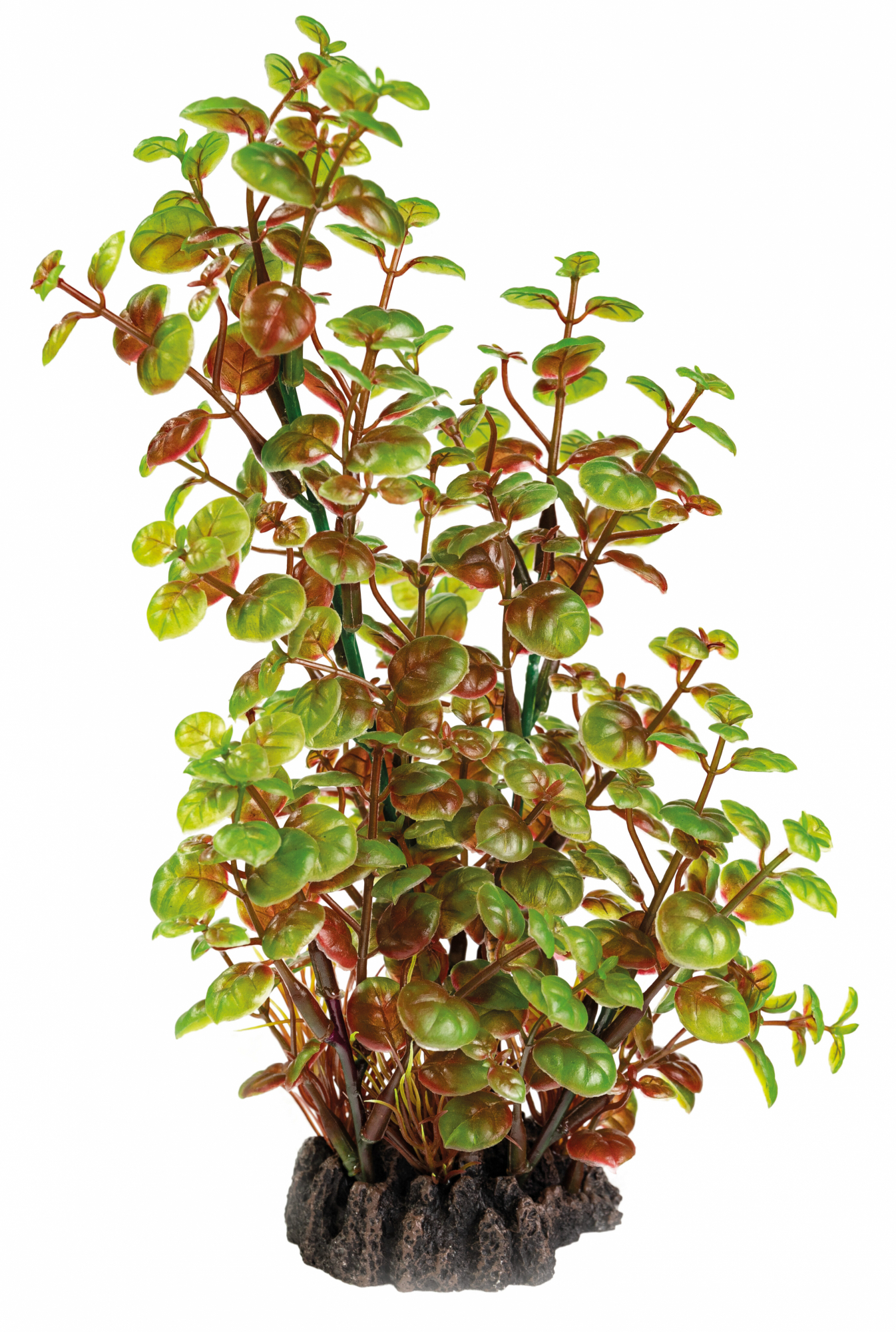 Plante artificielle Rotala - 25cm