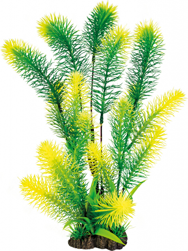 Plante artificielle Myriophyllum - 40cm 