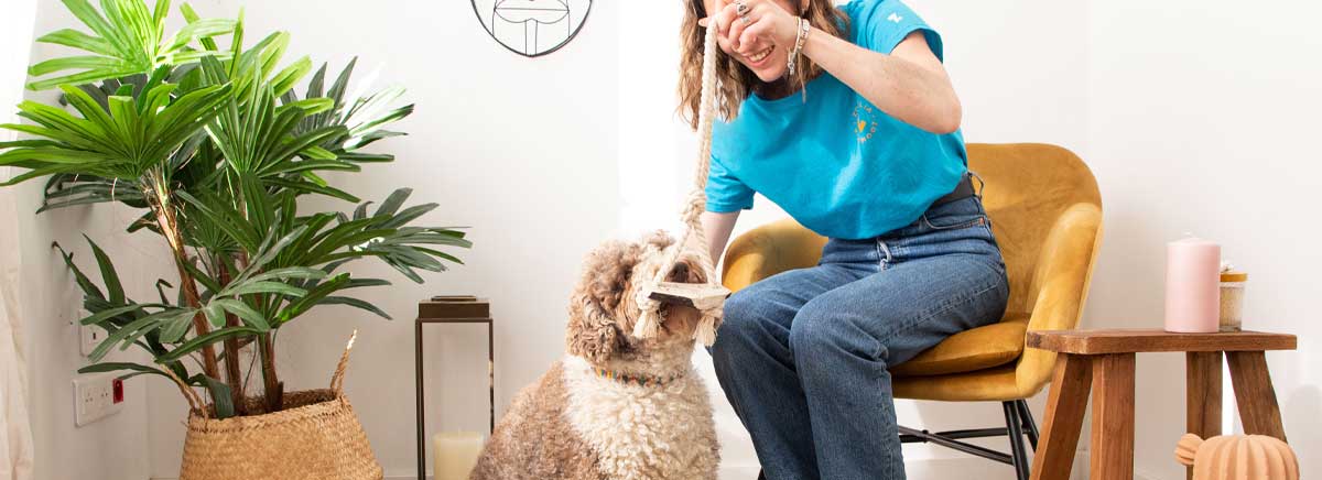 bannière jouet knot dailys pour chien 