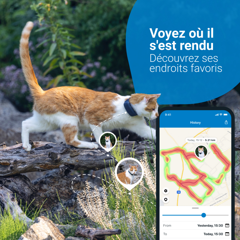 Tractive traceur GPS Cat 4 pour chat avec suivi d'activité - Bleu nuit