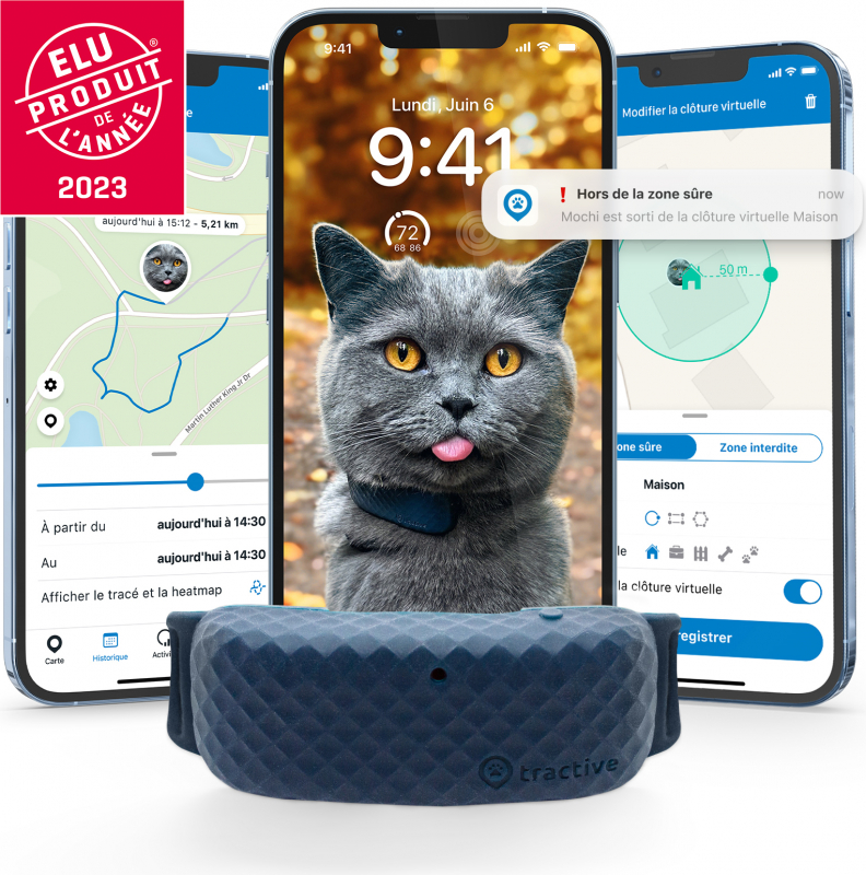 Collier GPS pour chat - Weenect XS