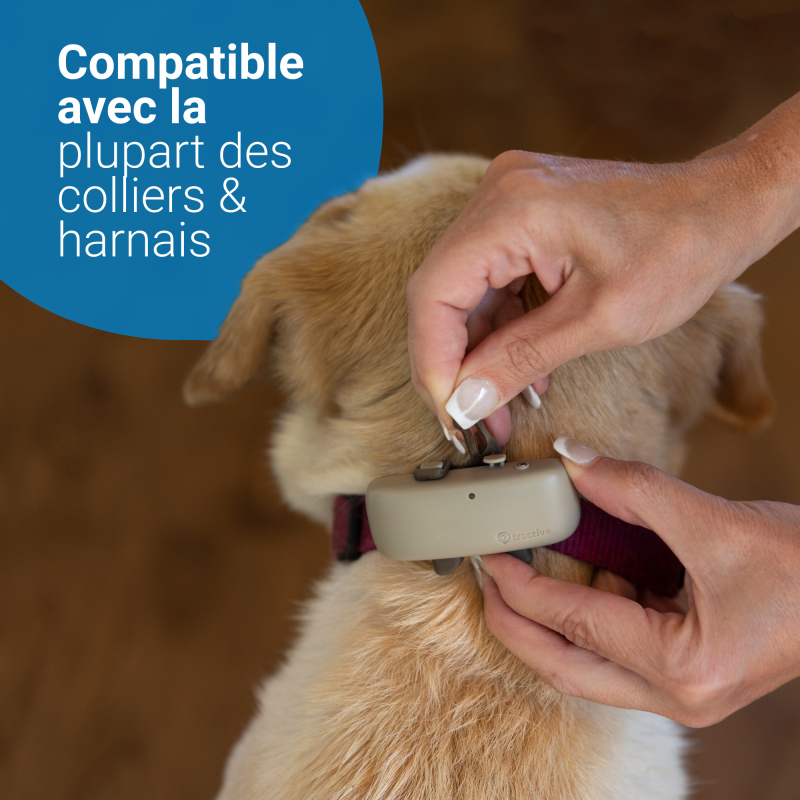 Tractive collier GPS pour chien avec suivi d'activité - DOG 4 - 3 couleurs disponibles