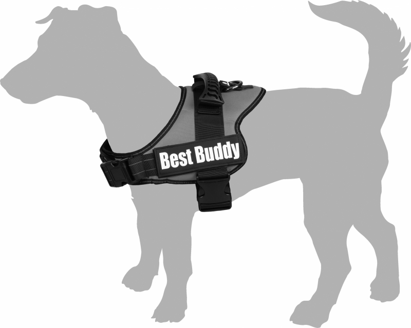 Harnais pour chien Best Buddy Pluto - Vert anis - plusieurs tailles disponibles