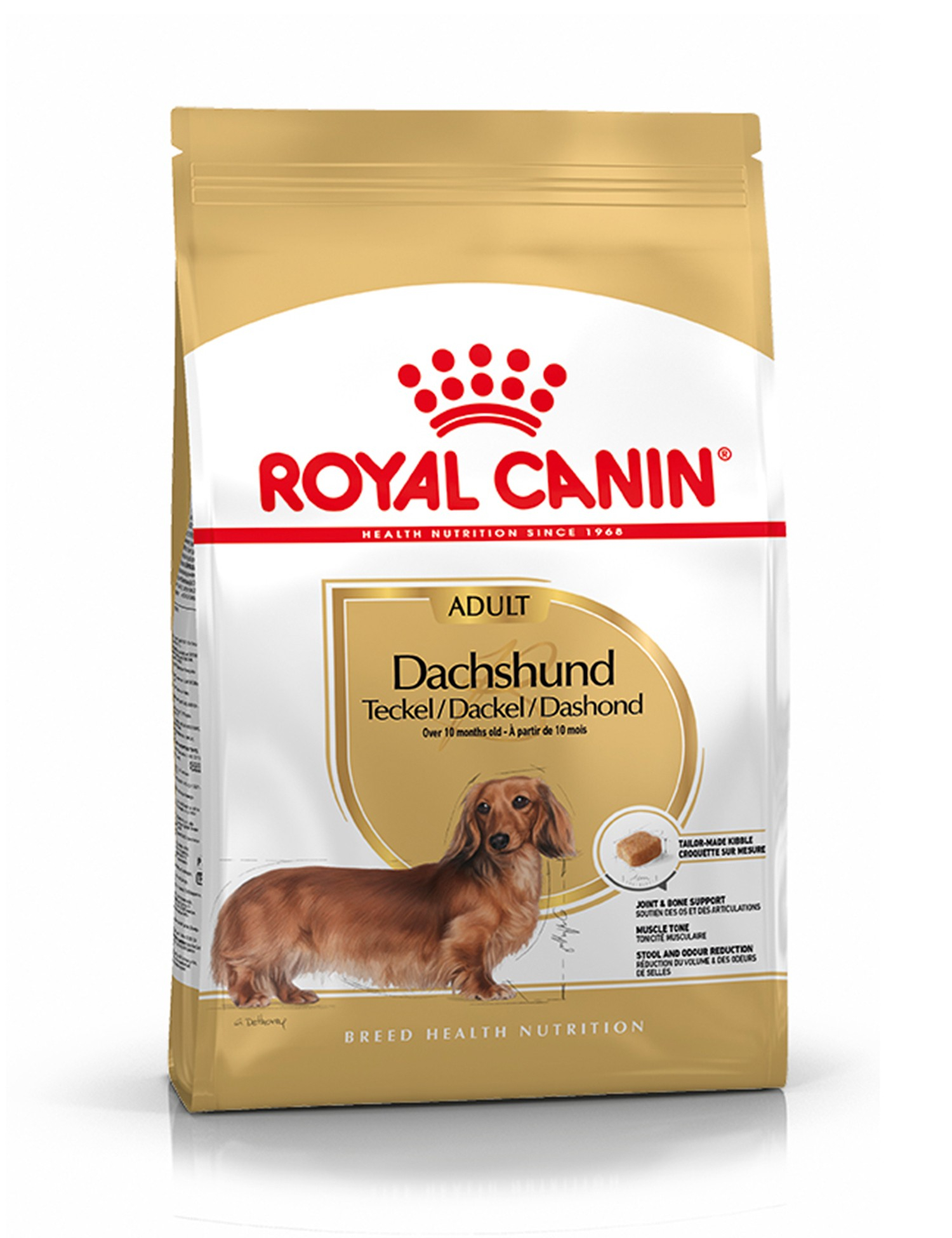 Royal Canin Breed Bassotti Adulti