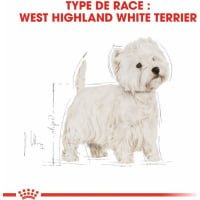 Royal Canin Breed Westie Adult